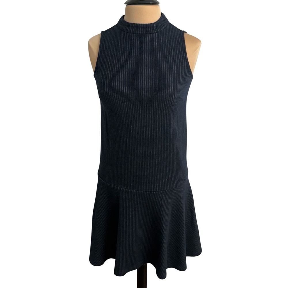 Ann Taylor LOFT Pinstripe Knit Drop-Waist Sleeveless Flounce Mini Dress